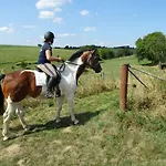 Bungalowpark 87 * سيمبيلفيلد