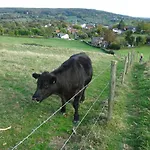 بيت للعطل Bungalowpark 87 سيمبيلفيلد